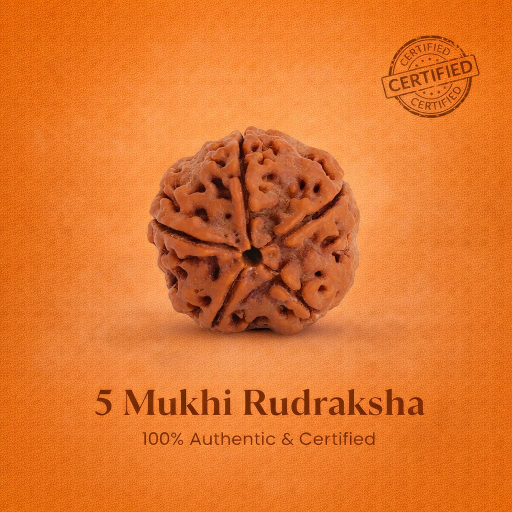 Nepali 5 Mukhi Rudraksha
