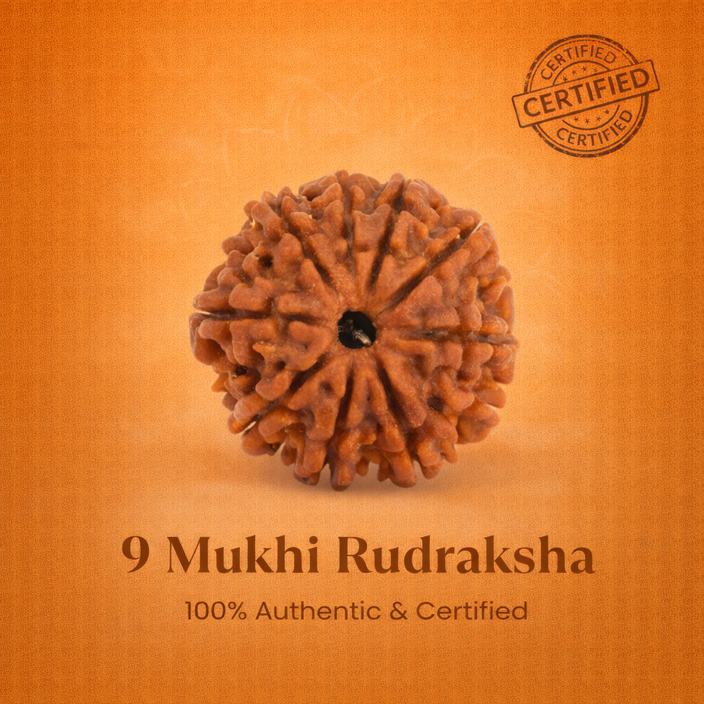 Nepali 9 Mukhi Rudraksha