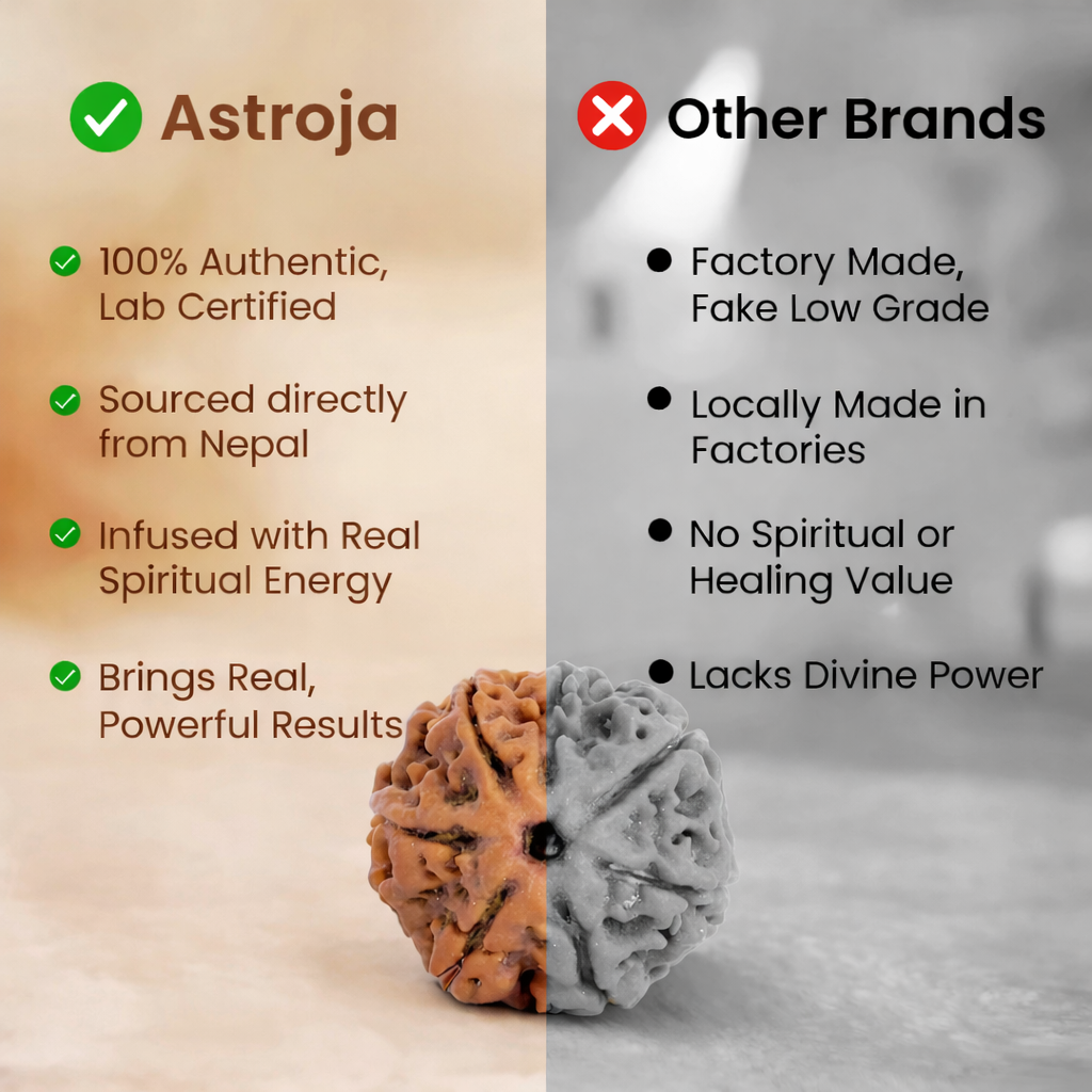 Nepali 7 Mukhi Rudraksha - Image 3