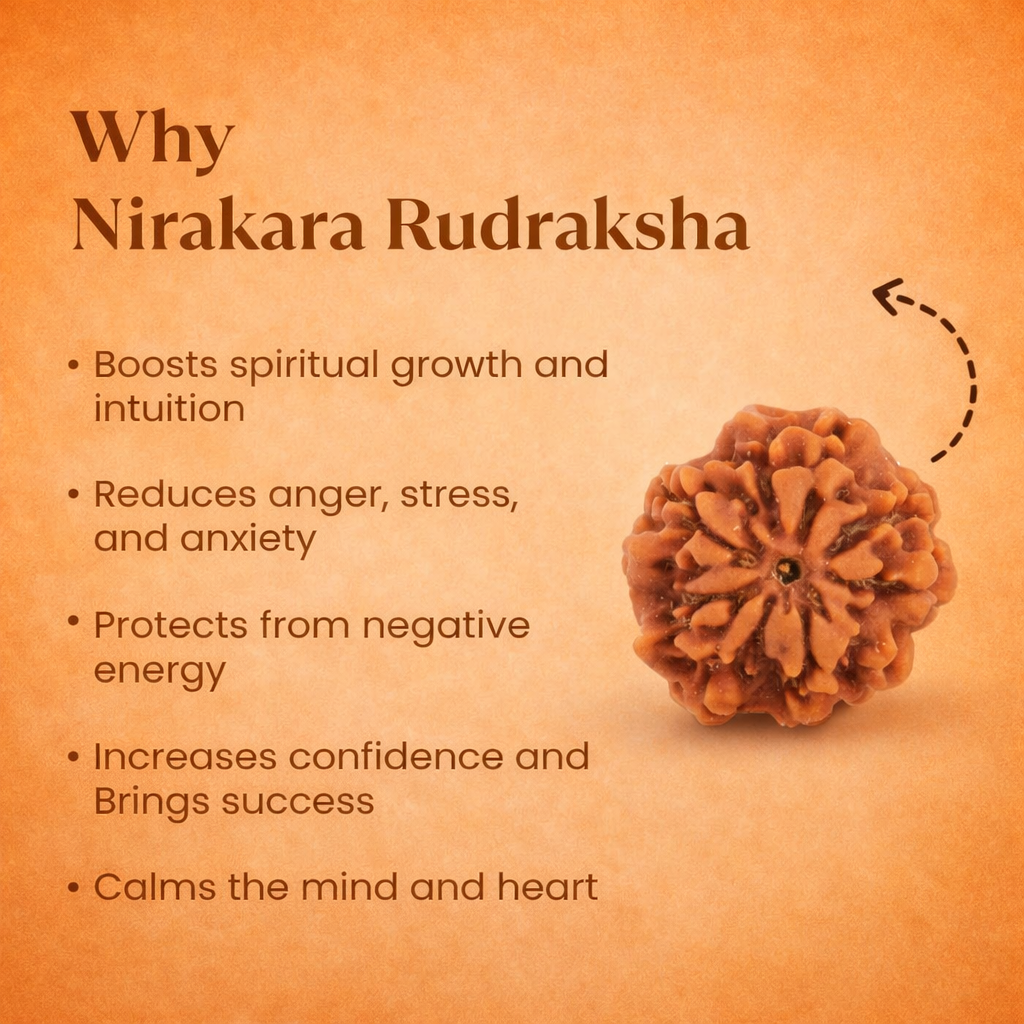 Nepali Nirakar Rudraksha - Image 1