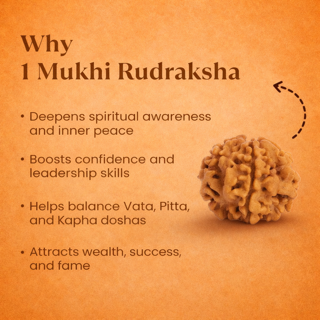 Nepali 1 Mukhi Rudraksha - Image 3