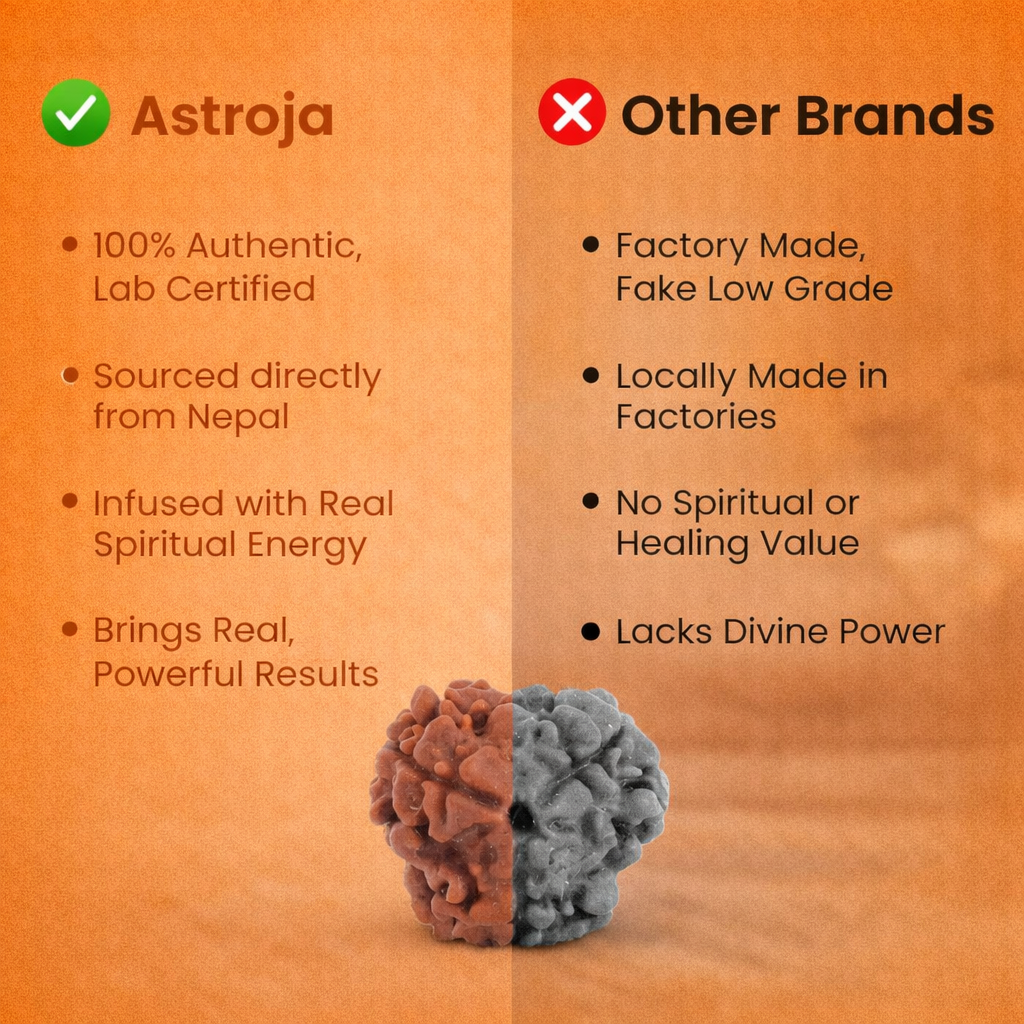 Nepali 3 Mukhi Rudraksha - Image 3