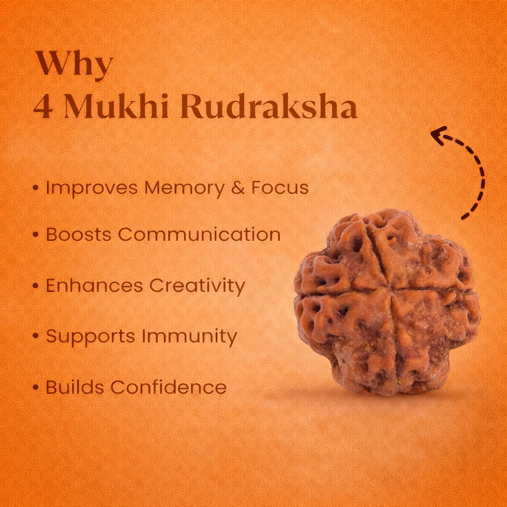 Nepali 4 Mukhi Rudraksha - Image 1