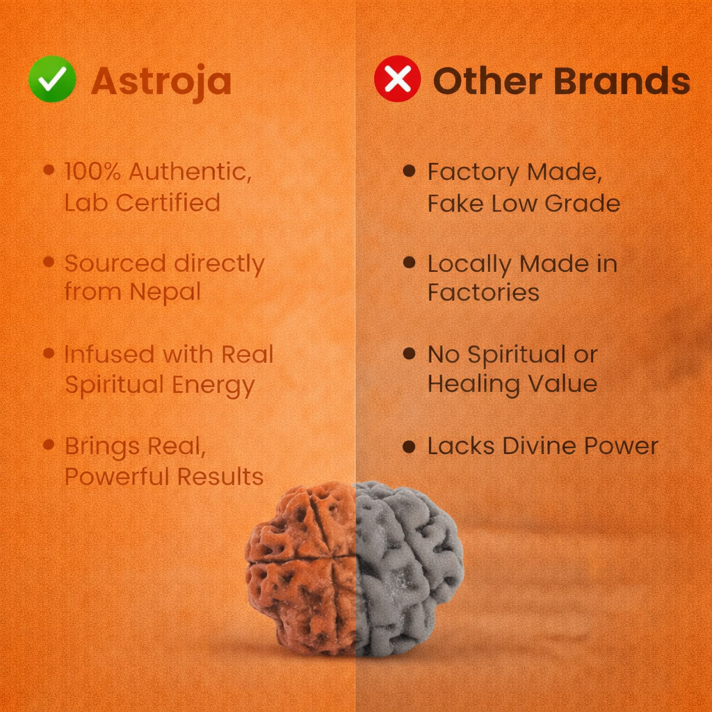 Nepali 4 Mukhi Rudraksha - Image 3