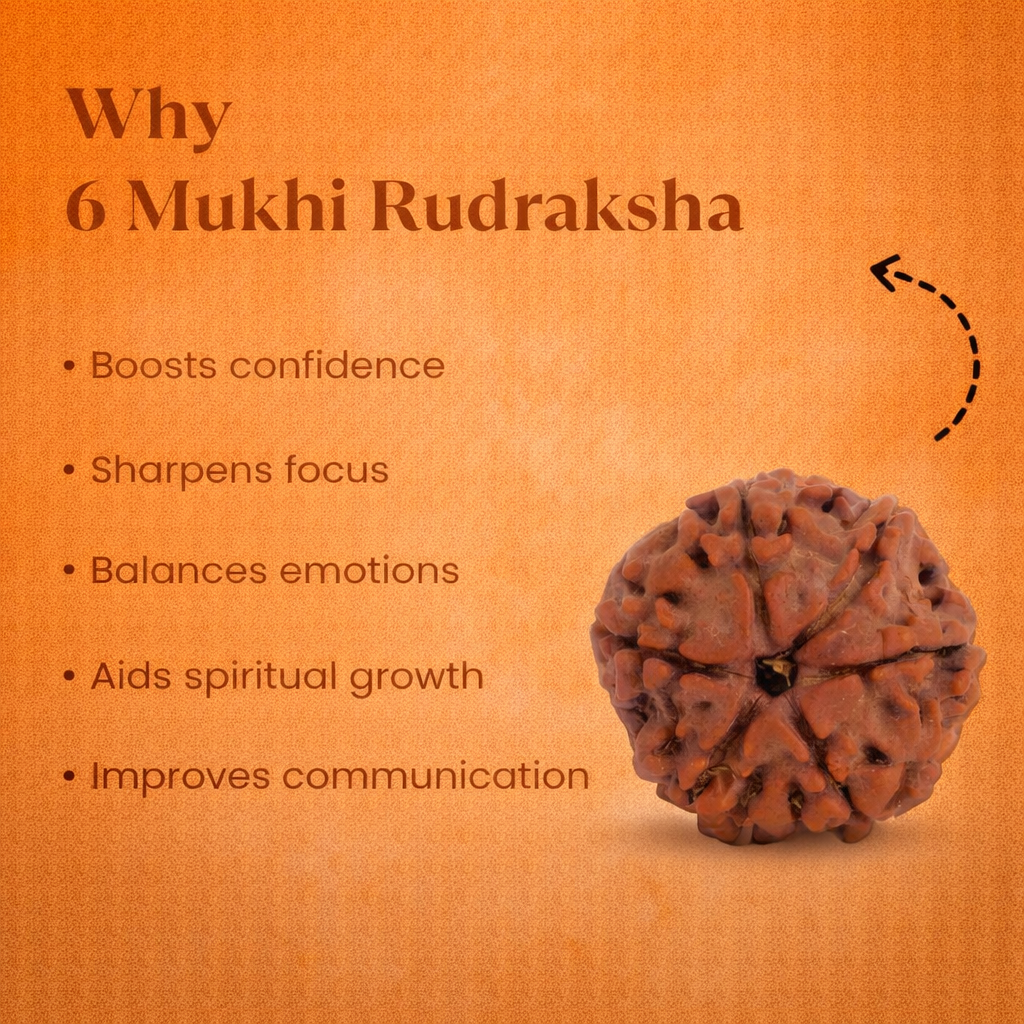 Nepali 6 Mukhi Rudraksha - Image 1