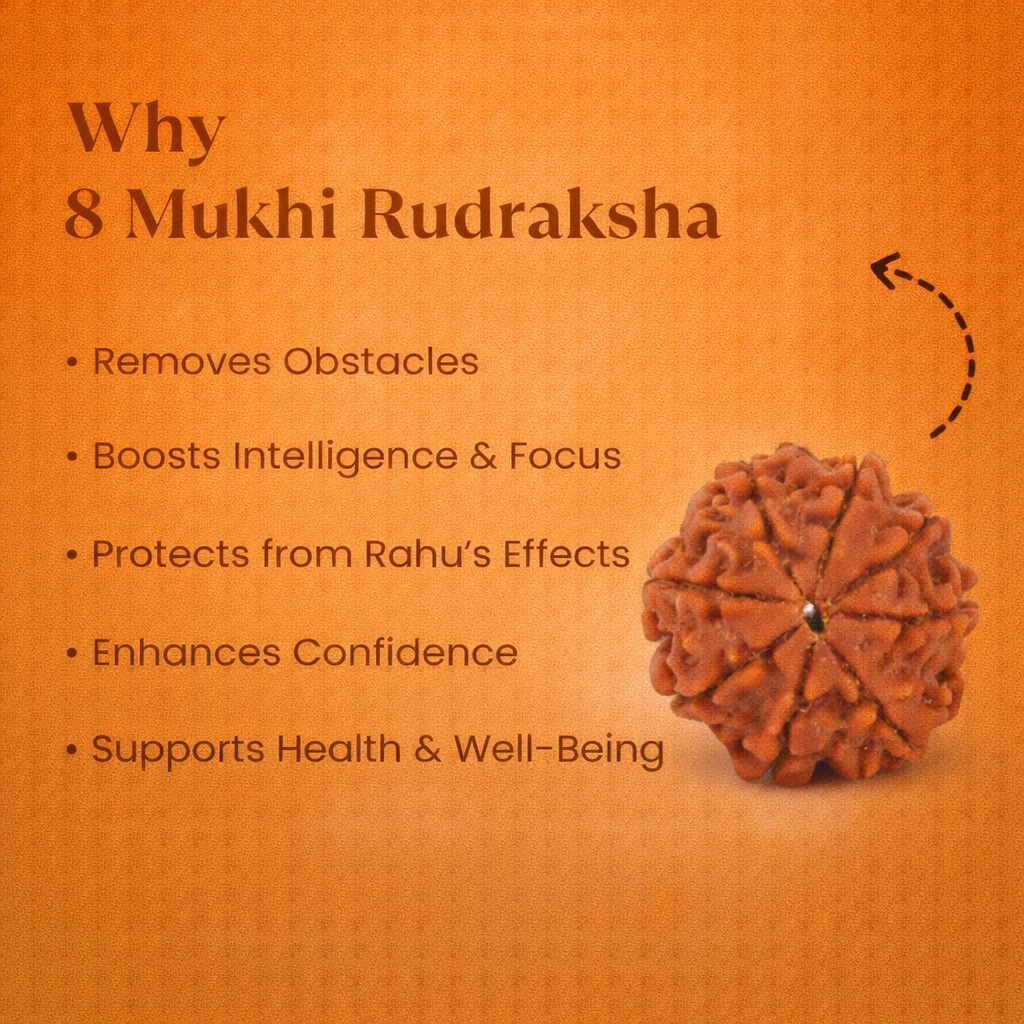 Nepali 8 Mukhi Rudraksha - Image 1
