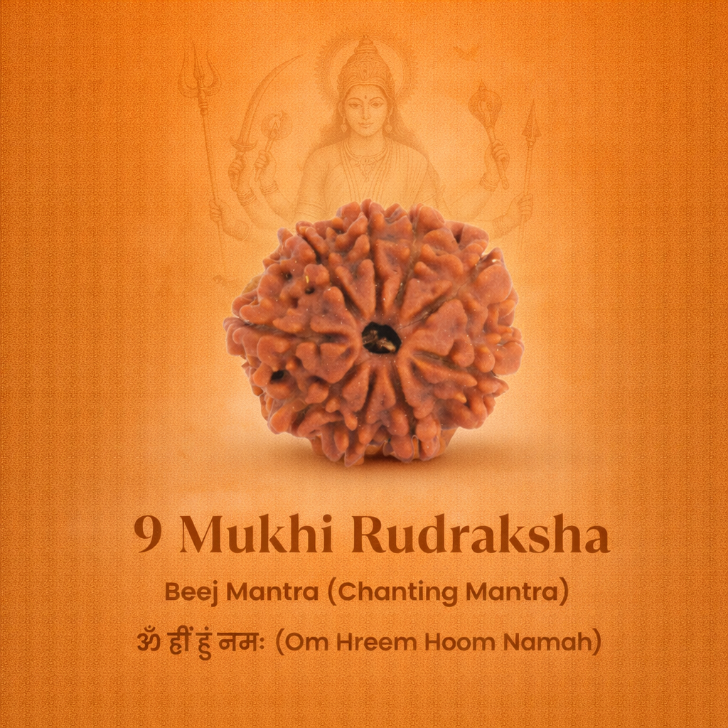 Nepali 9 Mukhi Rudraksha - Image 2