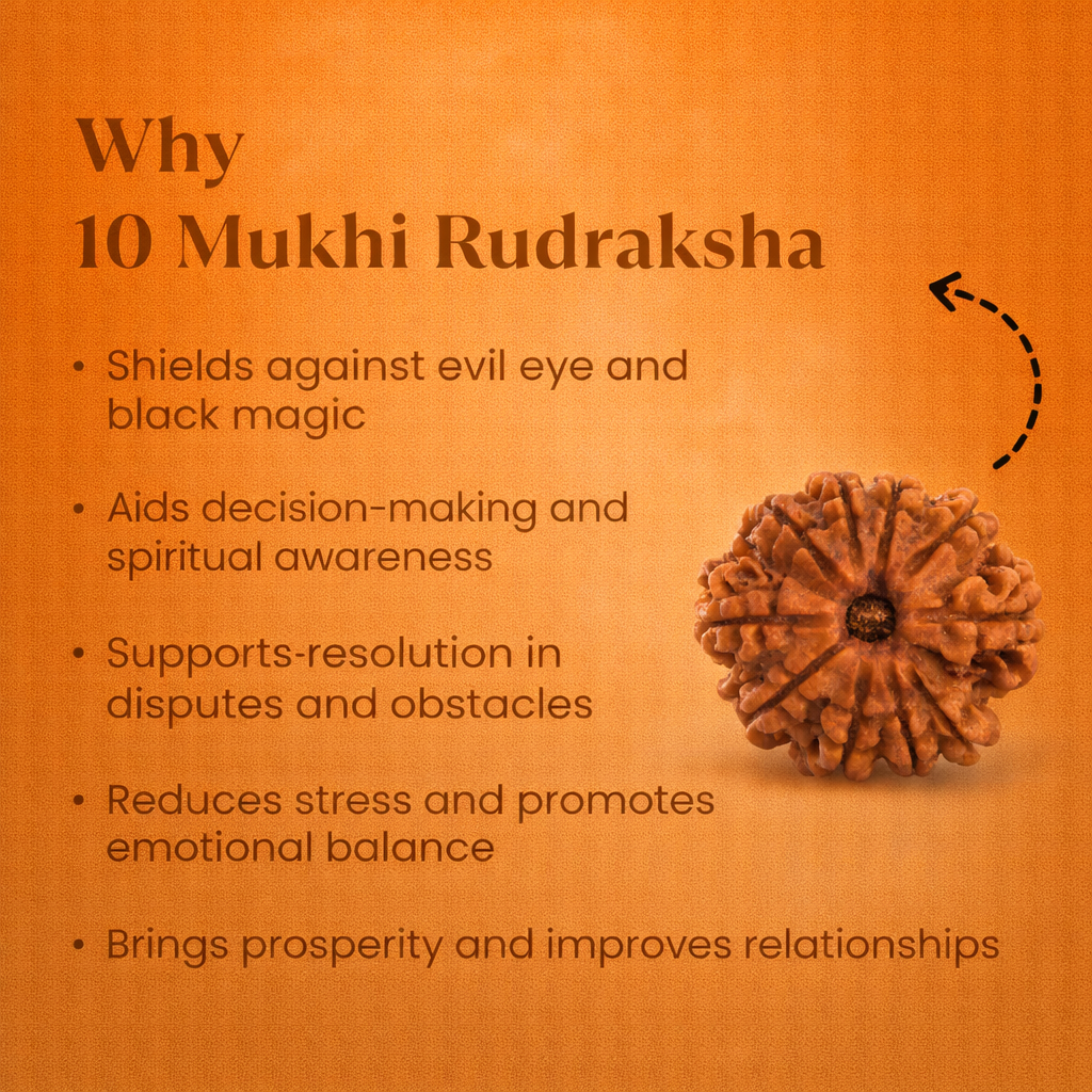 Nepali 10 Mukhi Rudraksha - Image 1
