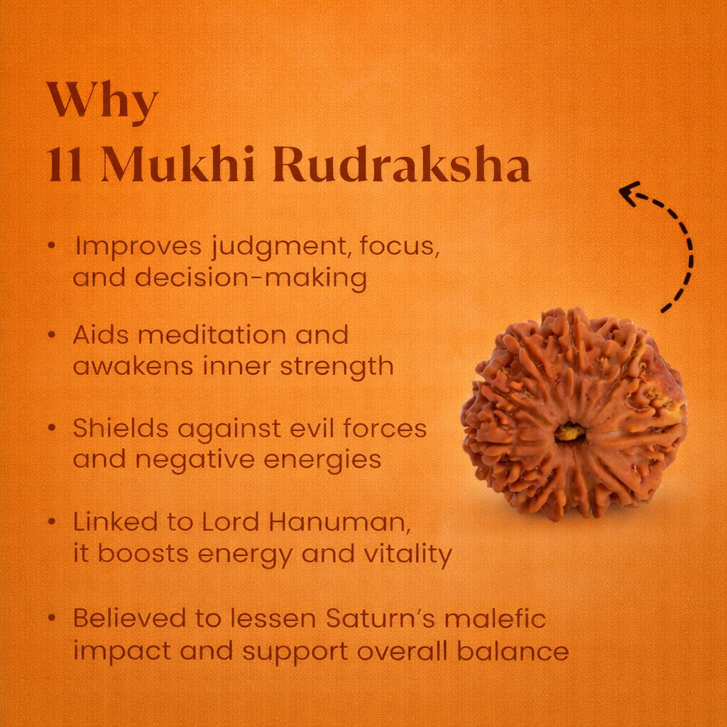 Nepali 11 Mukhi Rudraksha - Image 1