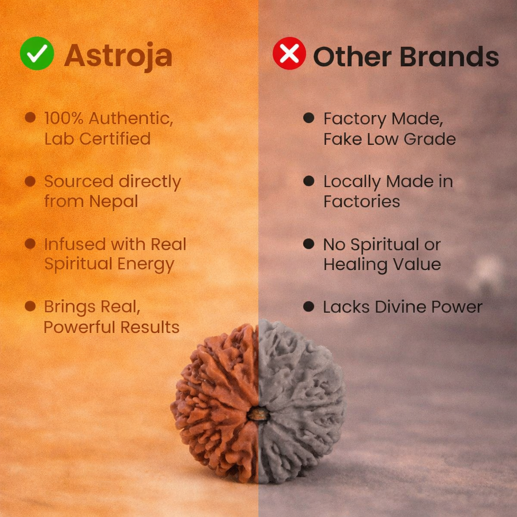 Nepali 11 Mukhi Rudraksha - Image 3