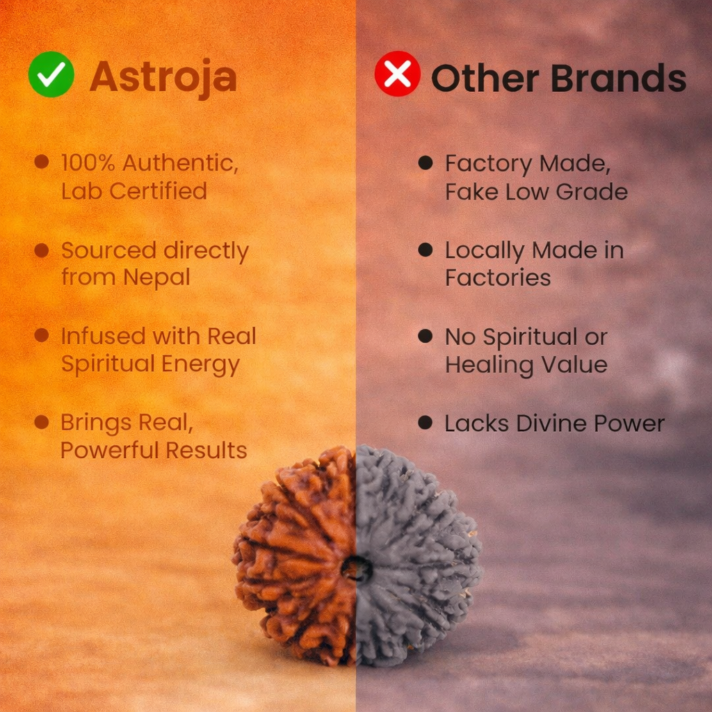 Nepali 13 Mukhi Rudraksha - Image 3