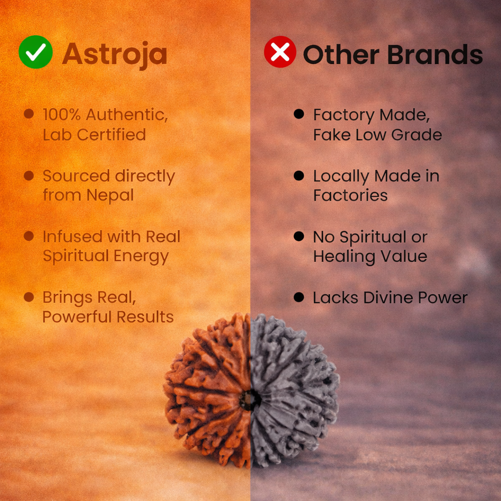 Nepali 14 Mukhi Rudraksha - Image 3